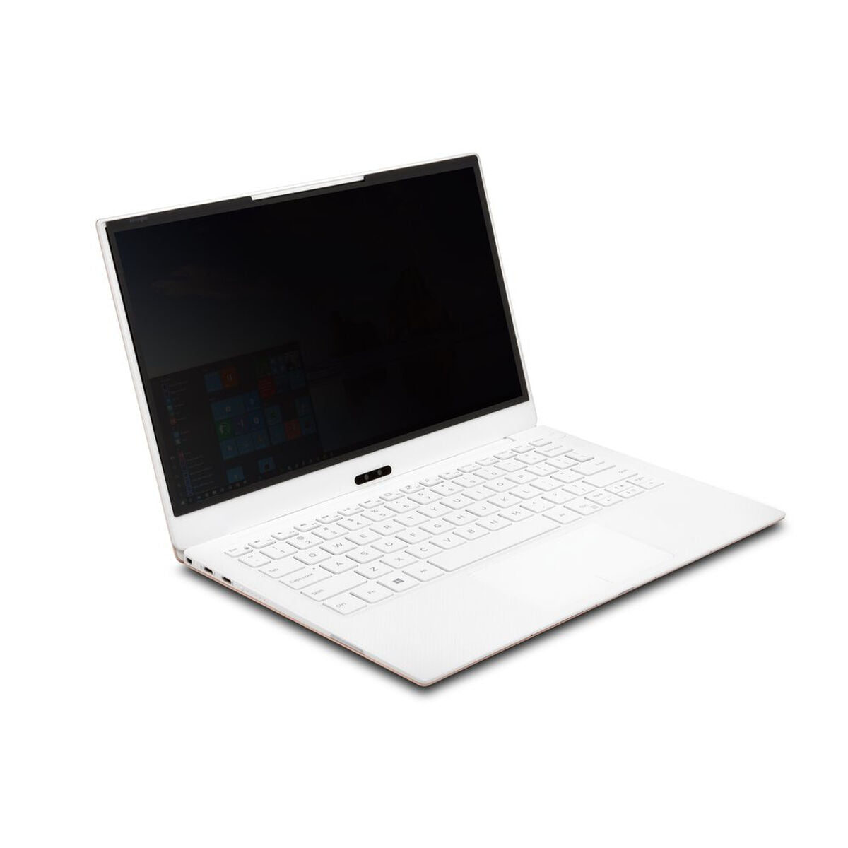 Privacy Filter for Monitor Kensington K58351WW-1